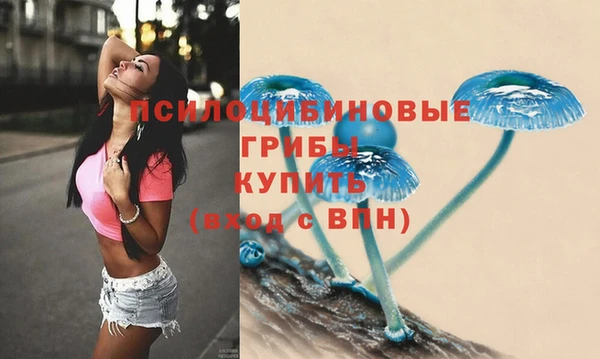 2c-b Зеленодольск