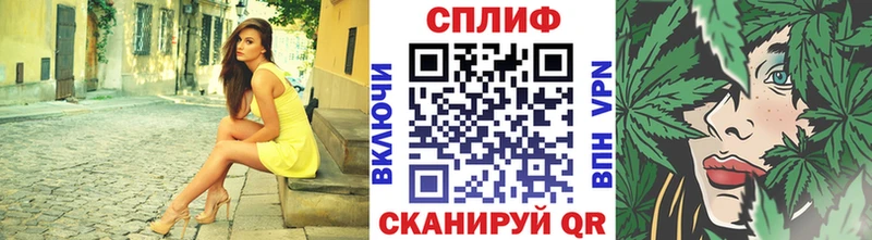 Бошки марихуана семена  Купить закладки  Циолковский 